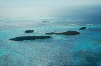 Tobago Cays réserve naturelle